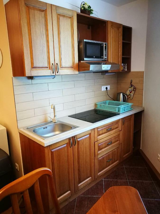 Apartman Marta, 200 M Ski タトランスカ・ ロムニツァ エクステリア 写真
